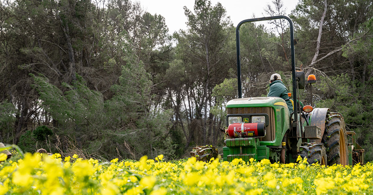 producto local agricultor