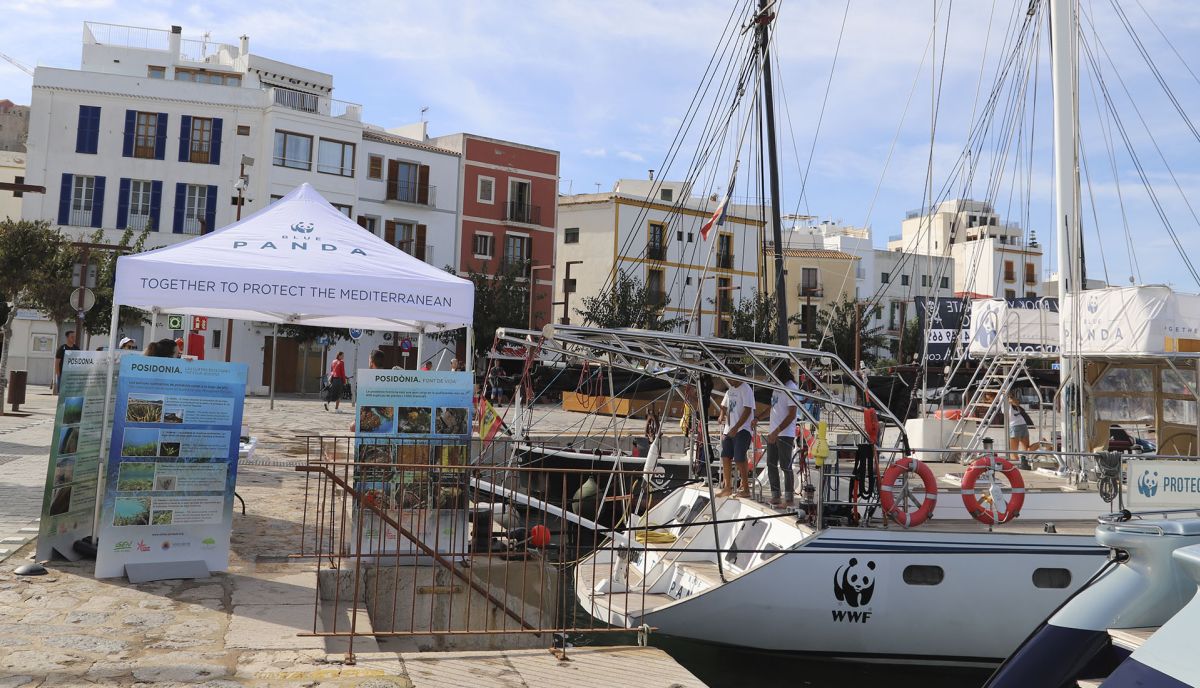 El Blue Panda de WWF recala en Marina Port Ibiza por la campaña de protección de la reserva marina de Tagomago.