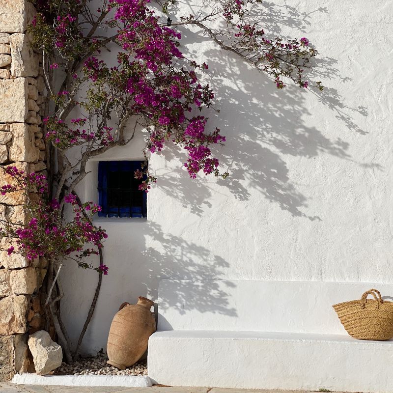 Campos de Ibiza