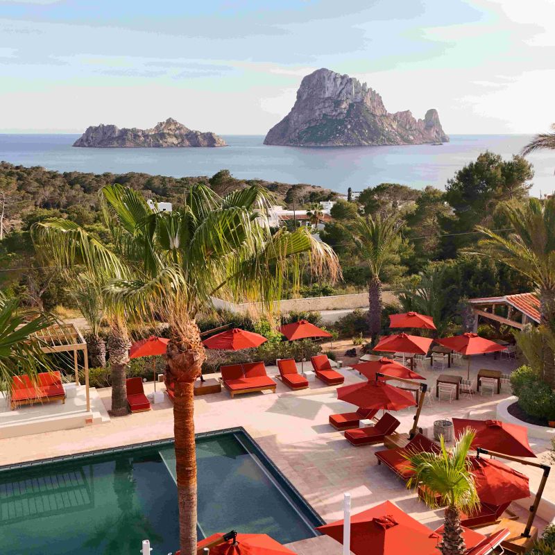 Petunia Ibiza