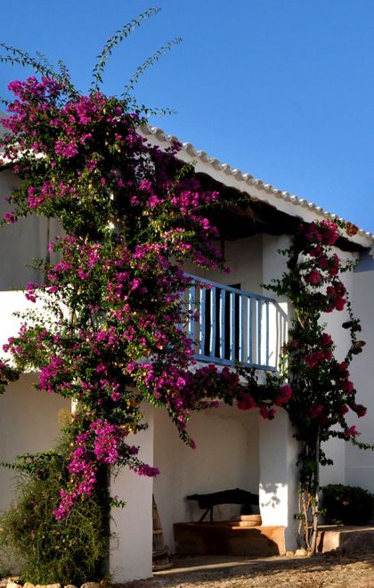 Santa Eulària des Riu