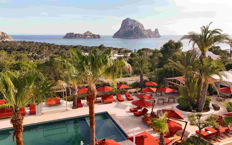Petunia Ibiza
