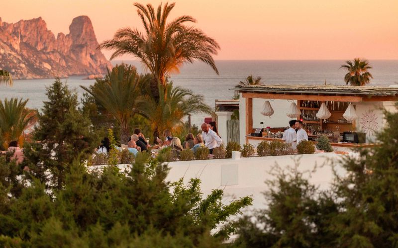 Petunia Ibiza