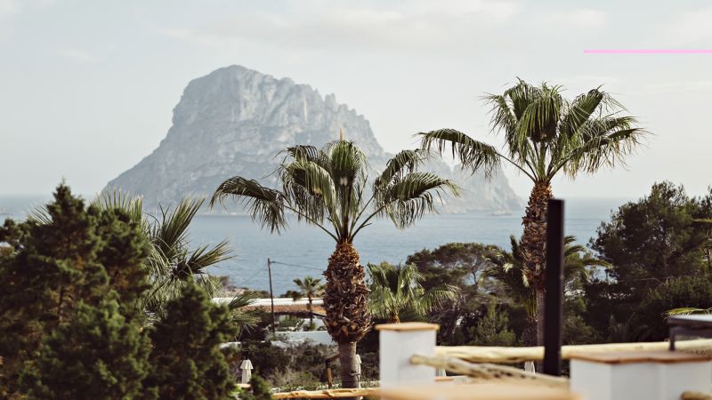 Petunia Ibiza